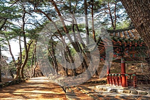 Mupunghansong-gil Korean Pagoda