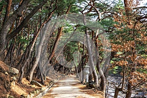 Mupunghansong-gil at Tongdo Temple