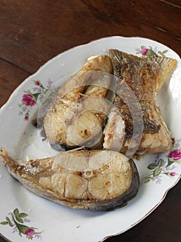 Muraenidae fish filet seafood photo