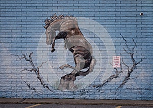 Mural with University of Central Oklahoma mascot, a bucking horse called `The Broncho`.