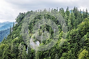 Muránska rovina, Slovensko, sezónní přírodní scéna