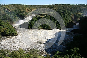 Murchison Falls NP, Uganda, Africa