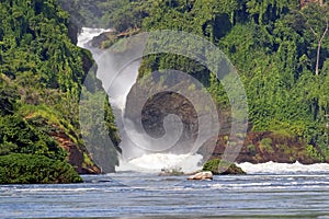 Murchison Falls in Uganda Africa