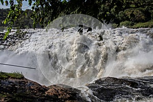 Murchison falls in Uganda
