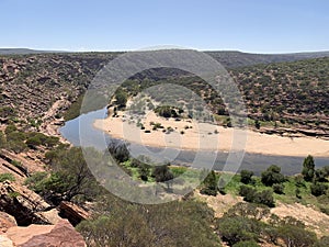 Murchison River in Kalbarri National Park, Western Australia, natural bush landscape