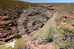 Murchison river view from the Z Bend lookout. Kalbarri National Park. Western Australia. Australia