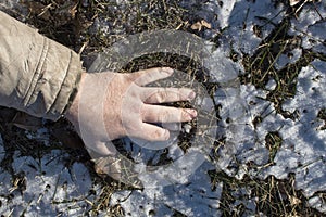 Murder. The dead man`s hand lies on the melting snow