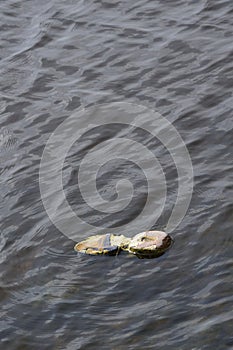 Murder in riverside, trash shoe floating on riverside