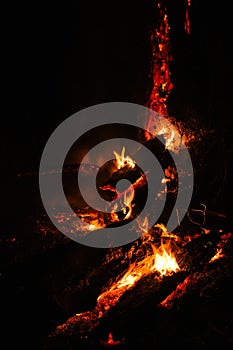 Murderous beautiful wildfire