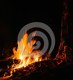 Murderous beautiful wildfire