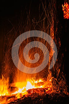 Murderous beautiful wildfire