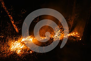 Murderous beautiful wildfire