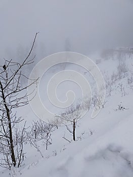 Muree beautiful snow