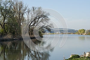 Mures river bank