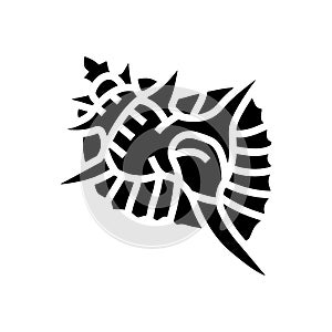 murex sea shell beach glyph icon vector illustration