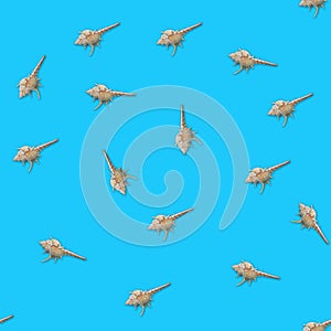 Murex seashells seamless pattern