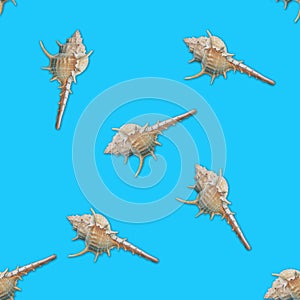 Murex seashells seamless pattern