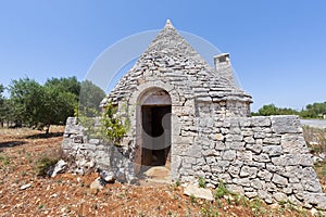 Murge (Apulia, italy) - Trullo and olive trees