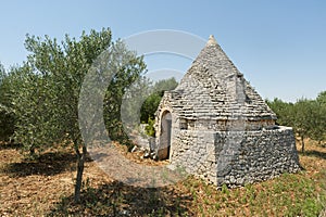 Murge (Apulia) - Trullo and olive trees photo