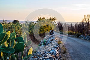 Murge plateau Apulia Italy