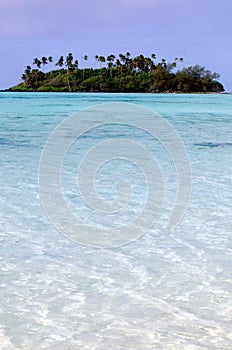 Muri Lagoon in Rarotonga Cook Islands photo