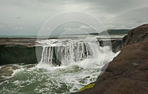 Muriwai beach