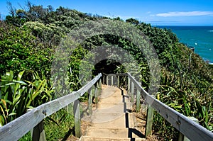 Muriwai Regional Park, New Zealand