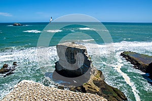 Muriwai Regional Park, New Zealand