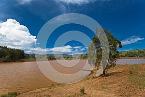 Murky lakes near Brisbane