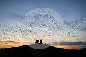 Murmuration of starlings over fairytale castle ruins in sunset l