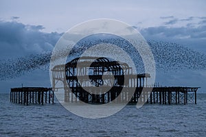 Murmuration of starlings over the remains of West Pier, Brighton UK. Photographed at dusk.