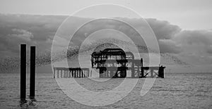 Murmuration of starlings over the remains of West Pier, Brighton UK. Photographed at dusk, in monochrome.