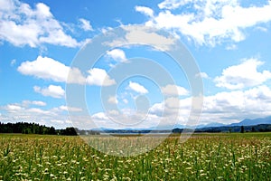 Murnauer Moor with cloudy Sky, Bavaria, Germany