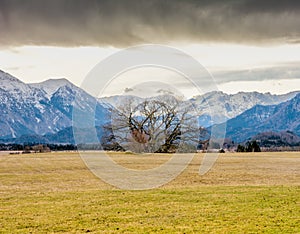 Murnauer Moos bog in Bavaria photo