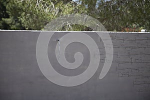 Muro de hormigon impreso en proceso de estampado de dibujo photo