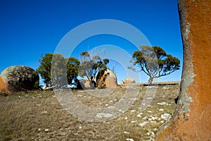 Murphy`s Haystacks