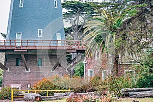 Murphy Windmill in Golden Gate Park, San Francisco, beautiful landscape. Travel concept, landmarks, architecture