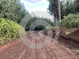 Murram road inside the Elephant Hills in the Aberdare Range forest in Nairobi Kenya