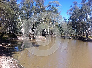 Murray River.