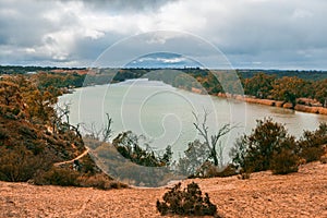 Murray river and eucalyptuses.
