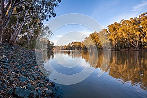 Murray river flowing among natvie Australian bush. photo