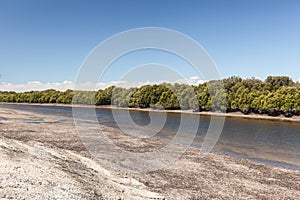 Murray River with a forest of Red Gum trees in the background and in the foreground a riverside shore bank