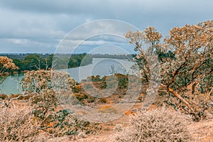 Murray River and native vegetation.