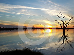 Murray River Sunset photo