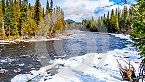 Murtle River in winter time in British Columbia, Canada