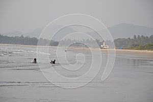 Murudeshwar Beach