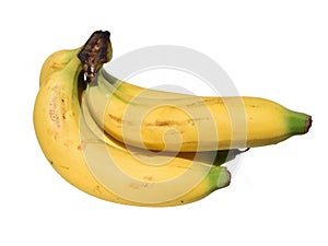 Musa,Banana fruit  isolated on white background