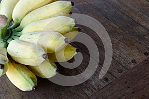 Musa sapientum banana