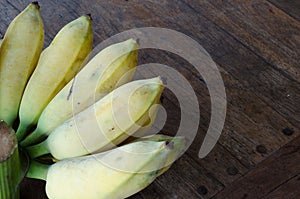 Musa sapientum banana photo