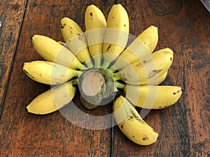 Musa sapientum or Plantain banana. photo